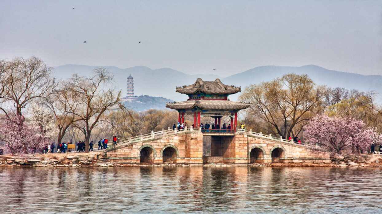 2024年北京清明节：樱花文化传承之旅