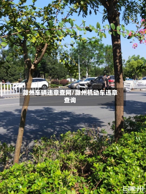 滁州车辆违章查网/滁州机动车违章查询