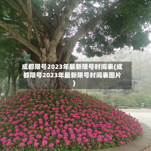 成都限号2023年最新限号时间表(成都限号2023年最新限号时间表图片)-第3张图片