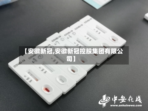 【安徽新冠,安徽新冠控股集团有限公司】