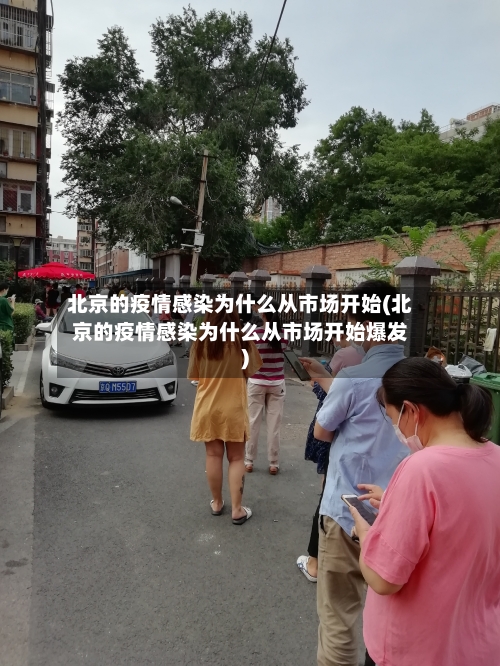 北京的疫情感染为什么从市场开始(北京的疫情感染为什么从市场开始爆发)