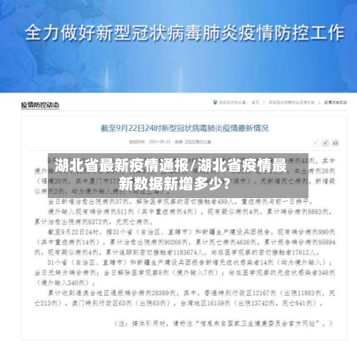湖北省最新疫情通报/湖北省疫情最新数据新增多少?
