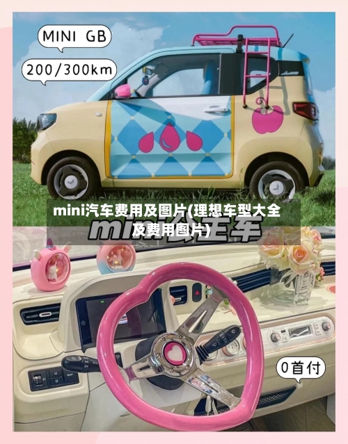mini汽车费用及图片(理想车型大全及费用图片)
