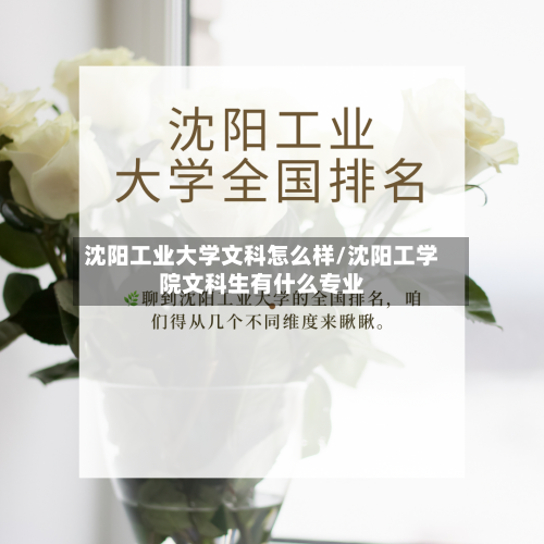 沈阳工业大学文科怎么样/沈阳工学院文科生有什么专业-第2张图片