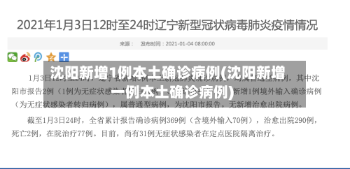 沈阳新增1例本土确诊病例(沈阳新增一例本土确诊病例)-第2张图片