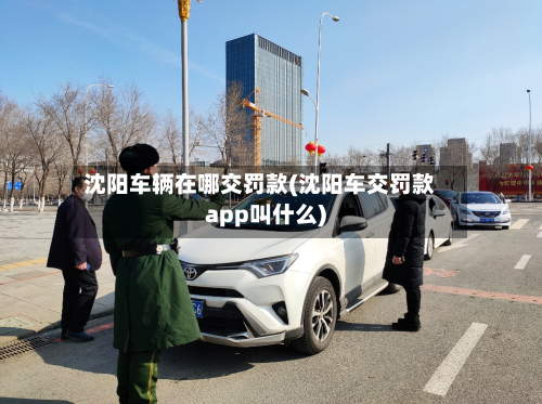 沈阳车辆在哪交罚款(沈阳车交罚款app叫什么)-第2张图片