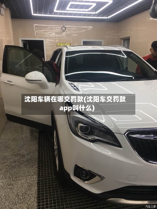 沈阳车辆在哪交罚款(沈阳车交罚款app叫什么)