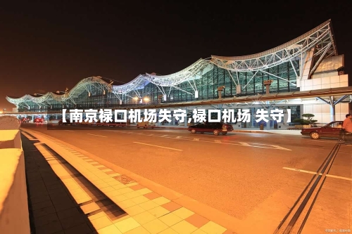 【南京禄口机场失守,禄口机场 失守】