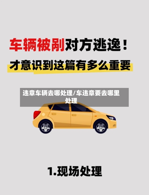 违章车辆去哪处理/车违章要去哪里处理-第2张图片