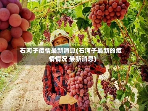 石河子疫情最新消息(石河子最新的疫情情况 最新消息)-第2张图片