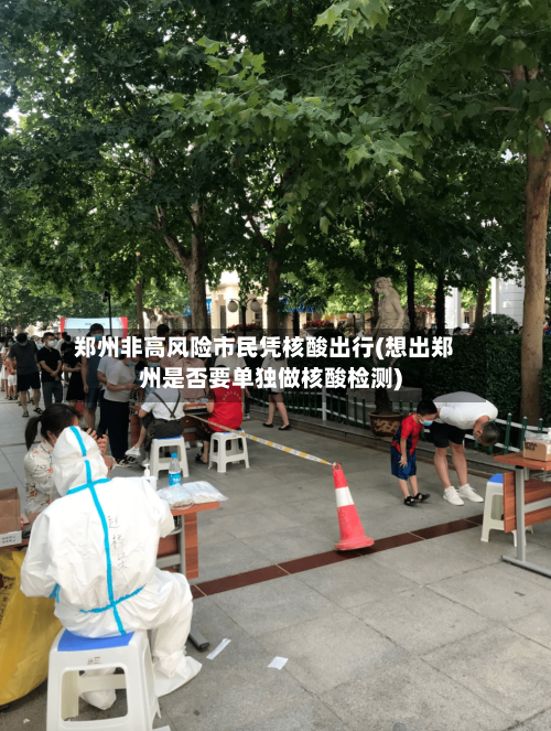 郑州非高风险市民凭核酸出行(想出郑州是否要单独做核酸检测)-第2张图片