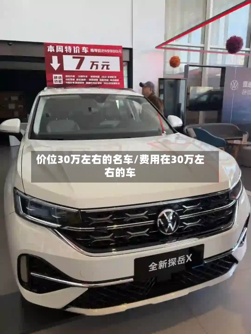 价位30万左右的名车/费用在30万左右的车