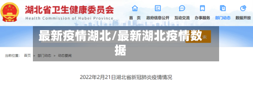 最新疫情湖北/最新湖北疫情数据-第3张图片