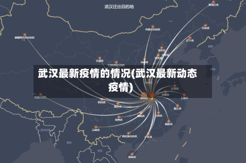 武汉最新疫情的情况(武汉最新动态疫情)