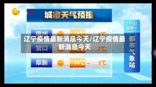 辽宁疫情最新消息今天/辽宁疫情最新消息今天-第3张图片