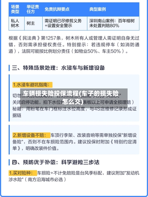 车辆损失险投保流程(车子的损失险怎么交)
