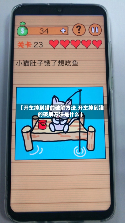 【开车撞到猫的破解方法,开车撞到猫的破解方法是什么】-第3张图片