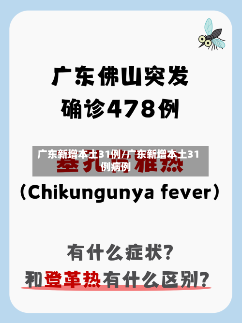 广东新增本土31例/广东新增本土31例病例