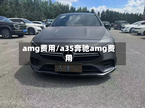 amg费用/a35奔驰amg费用-第3张图片
