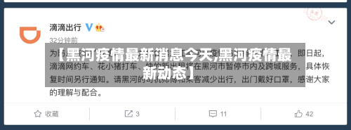 【黑河疫情最新消息今天,黑河疫情最新动态】-第3张图片