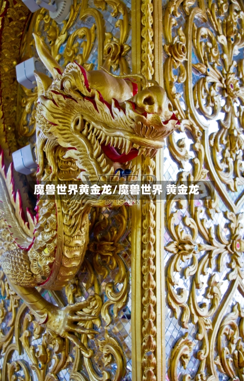 魔兽世界黄金龙/魔兽世界 黄金龙-第2张图片