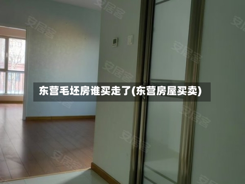 东营毛坯房谁买走了(东营房屋买卖)