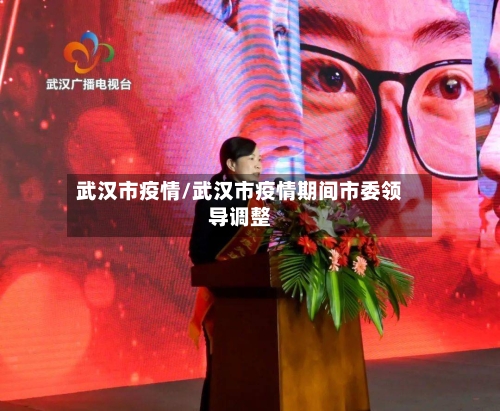 武汉市疫情/武汉市疫情期间市委领导调整-第2张图片