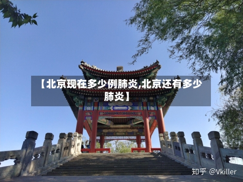 【北京现在多少例肺炎,北京还有多少肺炎】
