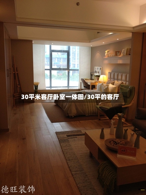 30平米客厅卧室一体图/30平的客厅