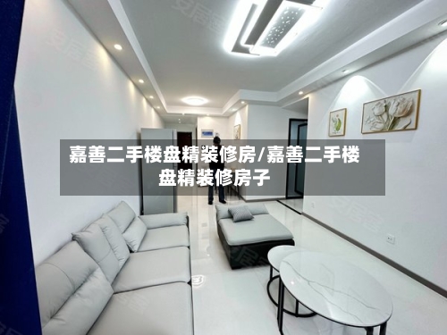 嘉善二手楼盘精装修房/嘉善二手楼盘精装修房子-第3张图片