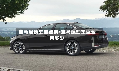 宝马混动车型费用/宝马混动车型费用多少-第2张图片