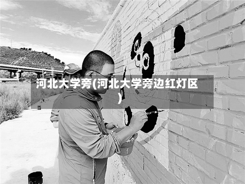河北大学旁(河北大学旁边红灯区)