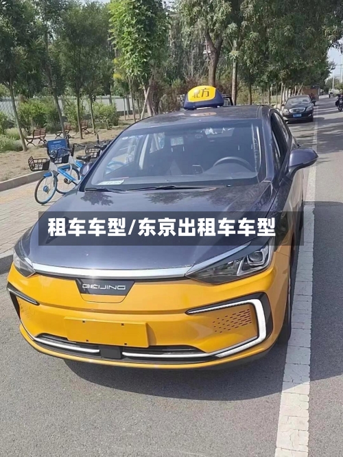 租车车型/东京出租车车型