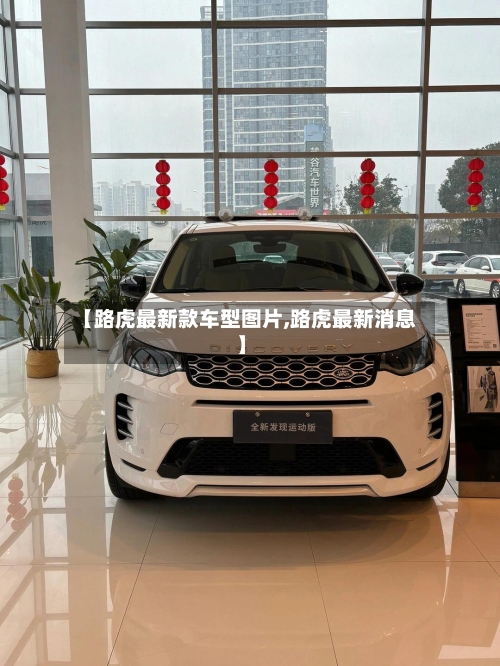 【路虎最新款车型图片,路虎最新消息】-第3张图片