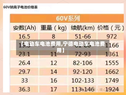 【电动车电池费用,宁德电动车电池费用】
