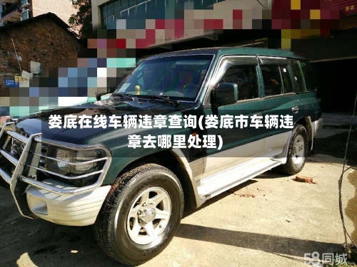 娄底在线车辆违章查询(娄底市车辆违章去哪里处理)-第2张图片