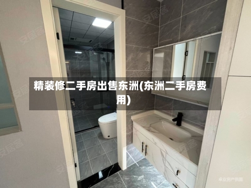 精装修二手房出售东洲(东洲二手房费用)-第3张图片