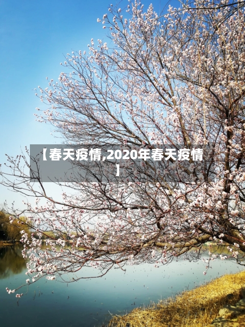【春天疫情,2020年春天疫情】-第3张图片