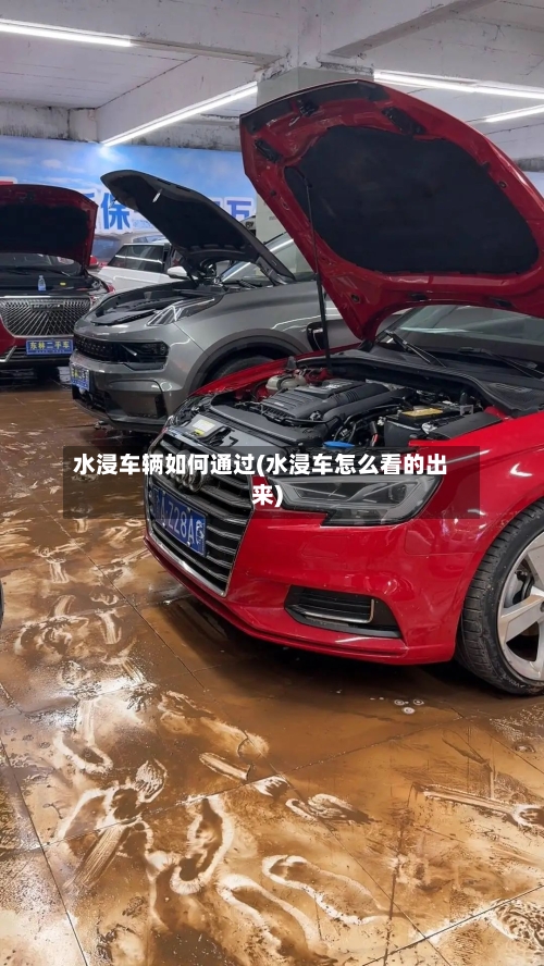 水浸车辆如何通过(水浸车怎么看的出来)-第2张图片